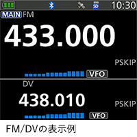 FM/DVの表示例