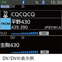 DV/DVの表示例